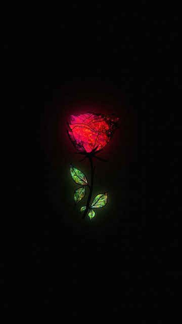 Glow Rose iPhone Wallpaper HD - iPhone Wallpapers