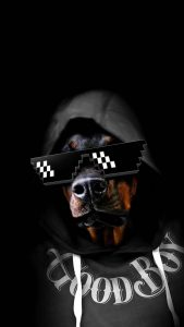 Good Boy iPhone Wallpaper HD