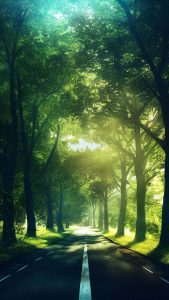 Green Road 4K iPhone Wallpaper HD