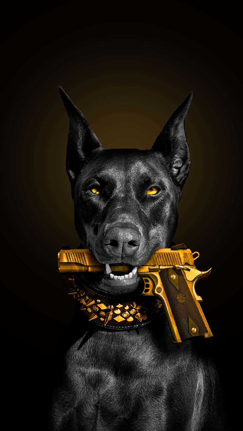 Mafia Dog iPhone Wallpaper HD