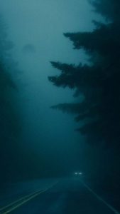 Mist Road iPhone Wallpaper HD