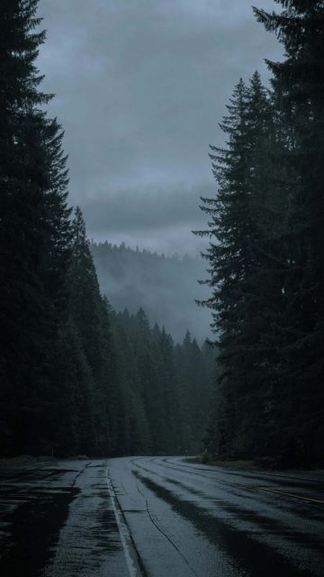 Pacific Northwest iPhone Wallpaper HD