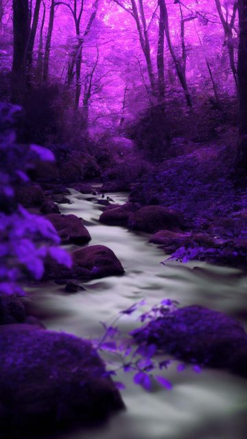 Purple Forest iPhone Wallpaper HD
