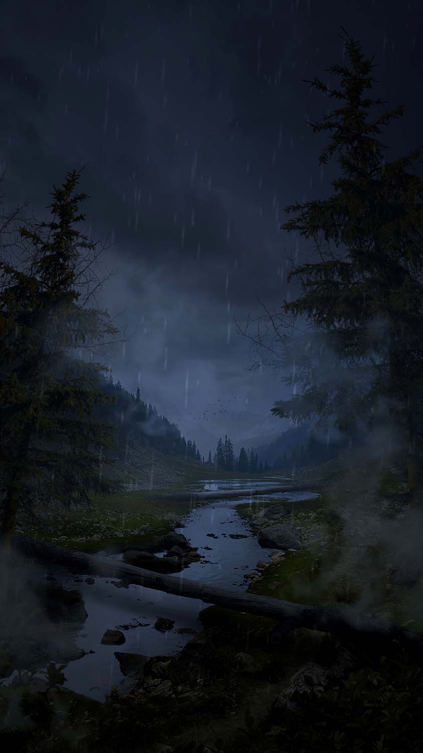 Rain in Forest iPhone Wallpaper HD