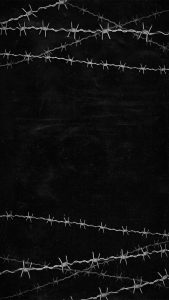 Razor Wires iPhone Wallpaper HD