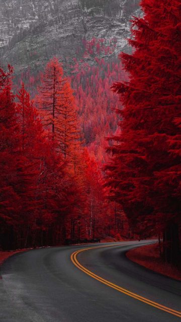 Red Autumn iPhone Wallpaper HD