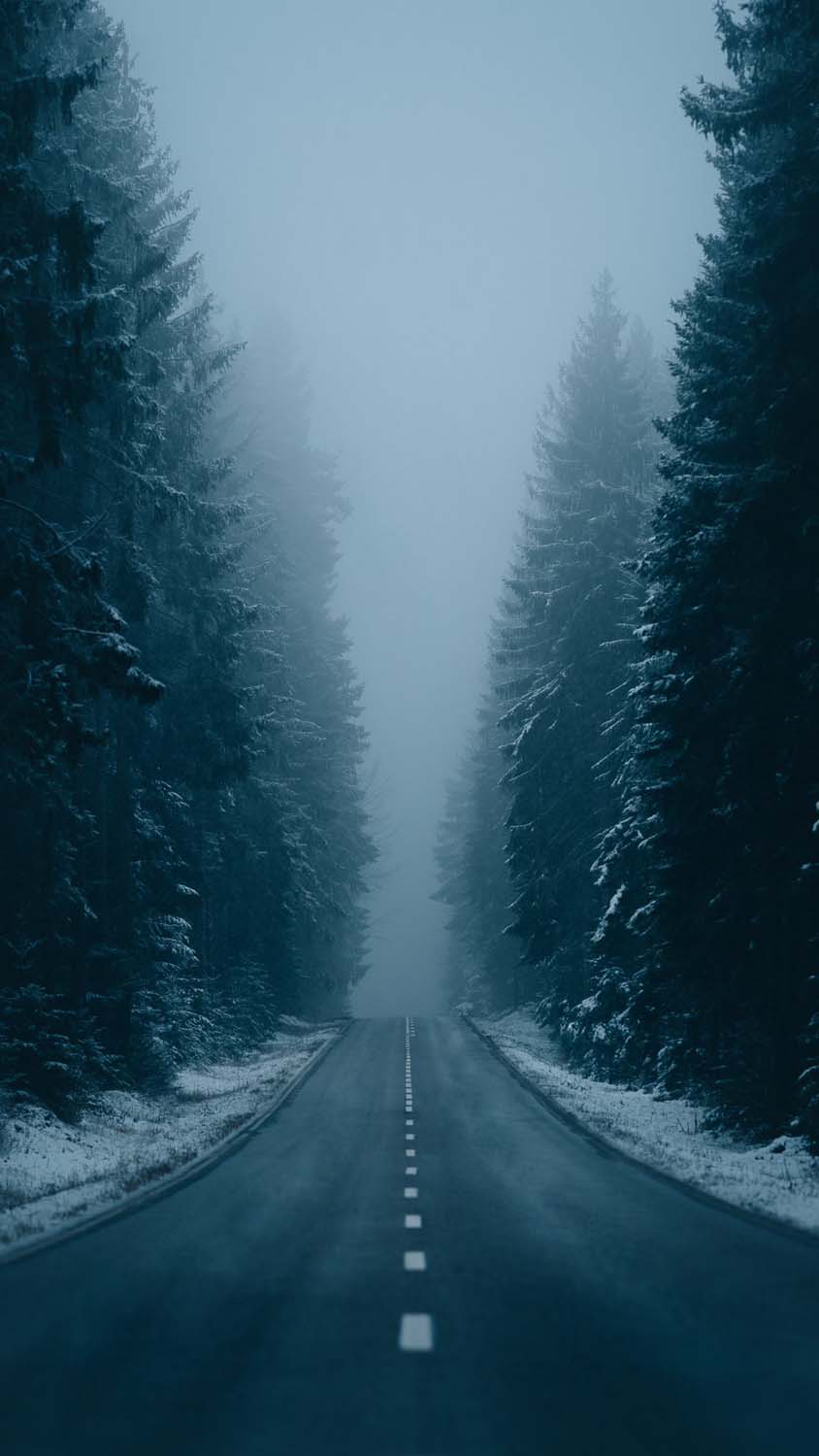 Snow Morning Mist Road iPhone Wallpaper HD