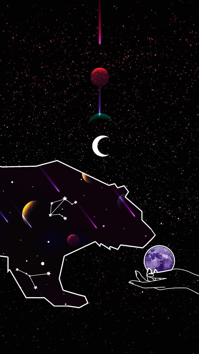 Space Bear iPhone Wallpaper HD