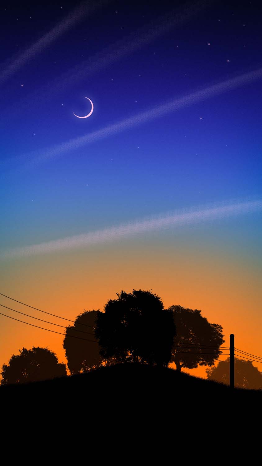 Sunset Silhouette Trees iPhone Wallpaper HD