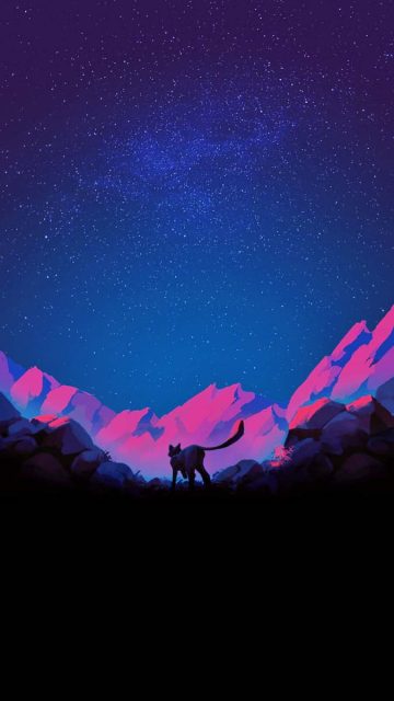 The Wild Night iPhone Wallpaper HD