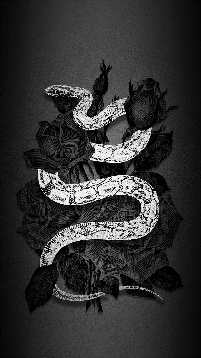 White Snake iPhone Wallpaper HD