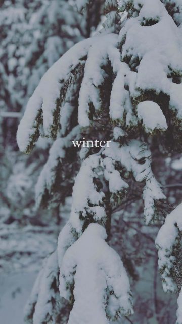 Winter Snow iPhone Wallpaper HD