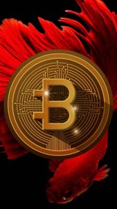 Bitcoin Crypto iPhone Wallpaper HD