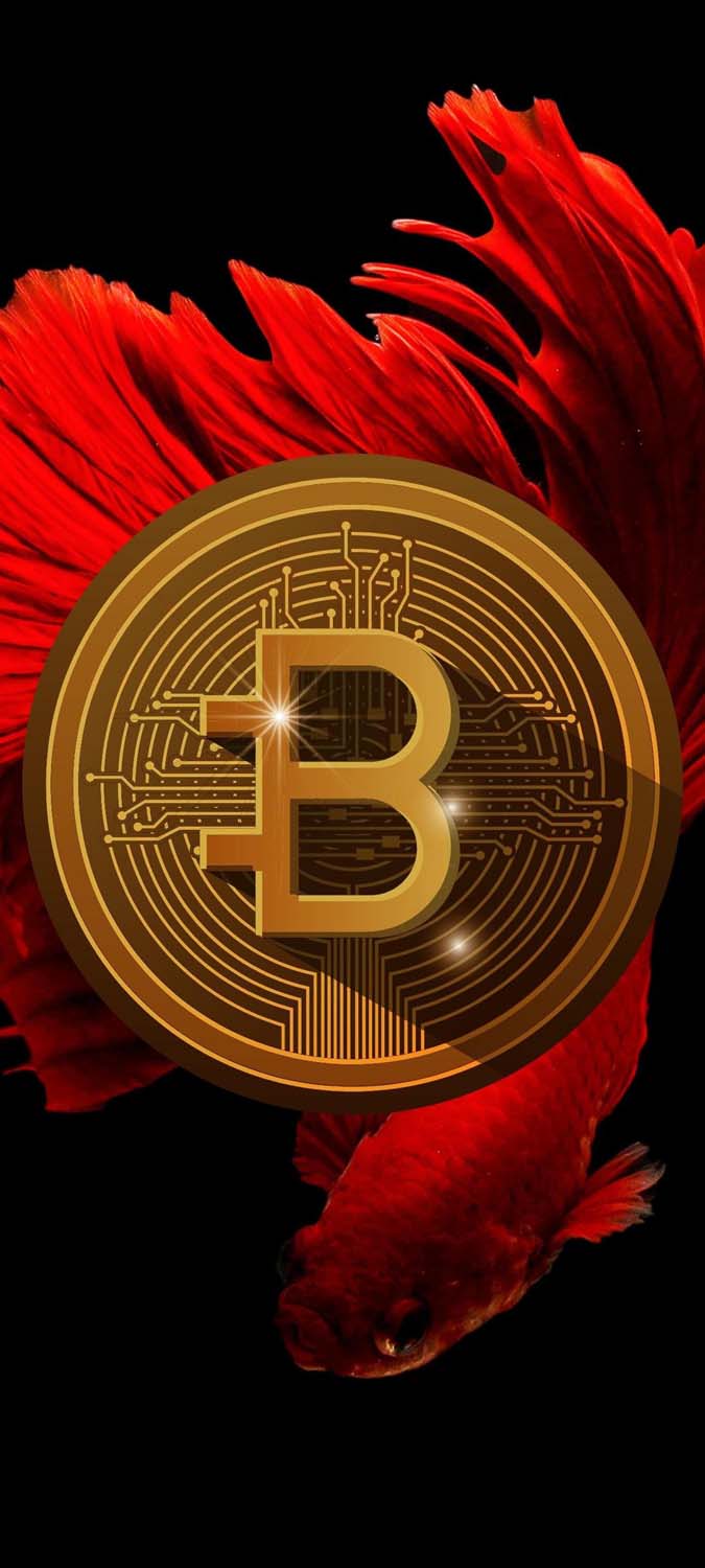 Bitcoin Crypto iPhone Wallpaper HD