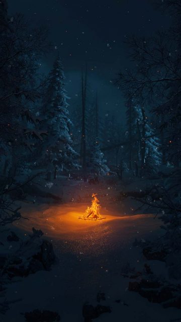 Bonfire iPhone Wallpaper HD