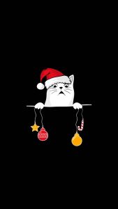 Cat Christmas iPhone Wallpaper HD