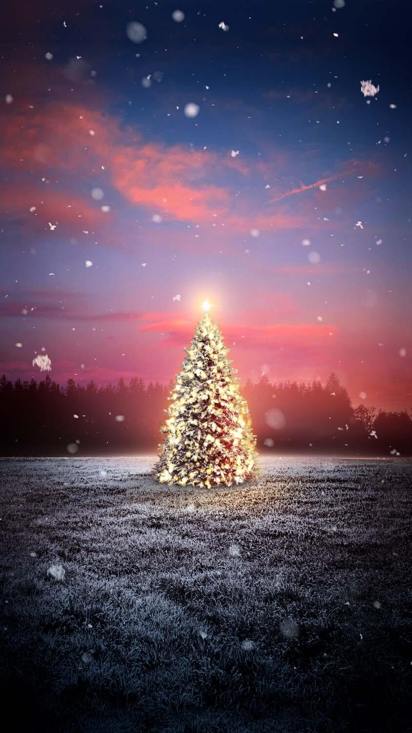 Christmas Tree Snow Fall iPhone Wallpaper HD