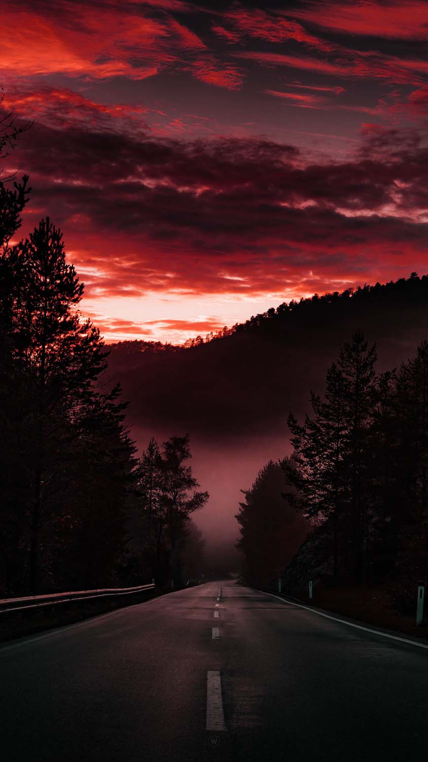 Cloudy Morning Mist Road iPhone Wallpaper HD