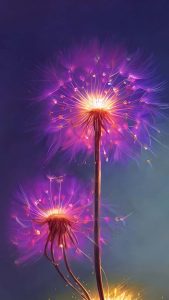 Dandelions Glow iPhone Wallpaper HD