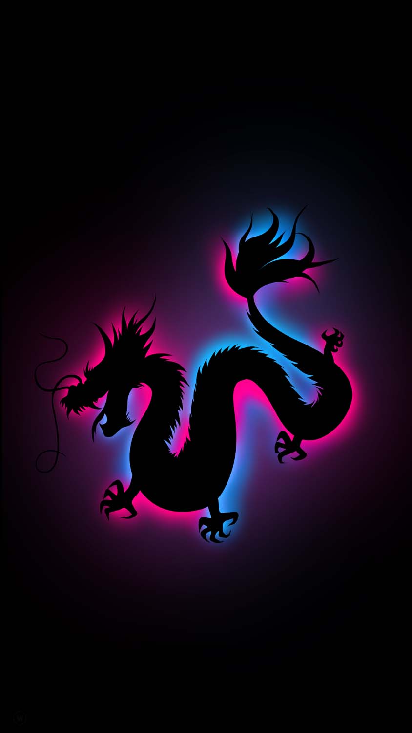Dragon Shadow iPhone Wallpaper HD
