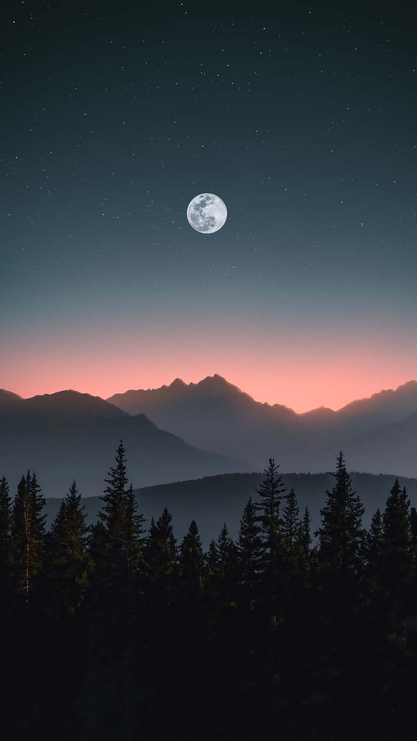 Full Moon Forest iPhone Wallpaper HD