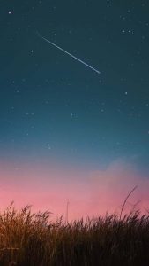 Grass Fields and Star Full Sky iPhone Wallpaper HD