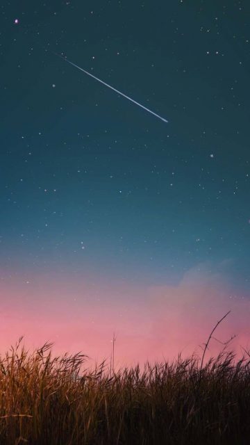 Grass Fields and Star Full Sky iPhone Wallpaper HD - iPhone Wallpapers