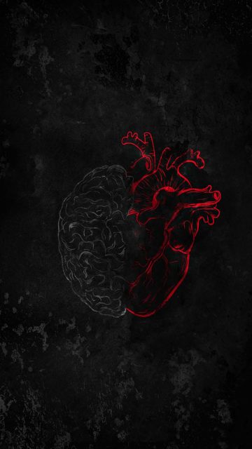 Heart vs Brain iPhone Wallpaper HD