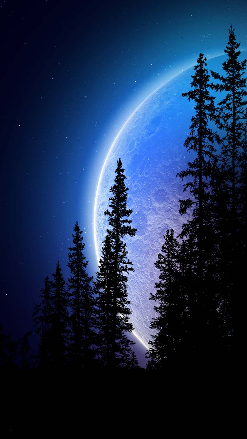 Moon Behind Trees iPhone Wallpaper HD