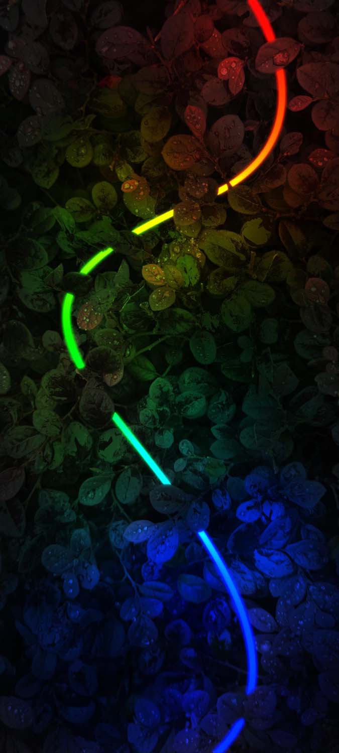 Neon Flora iPhone Wallpaper HD