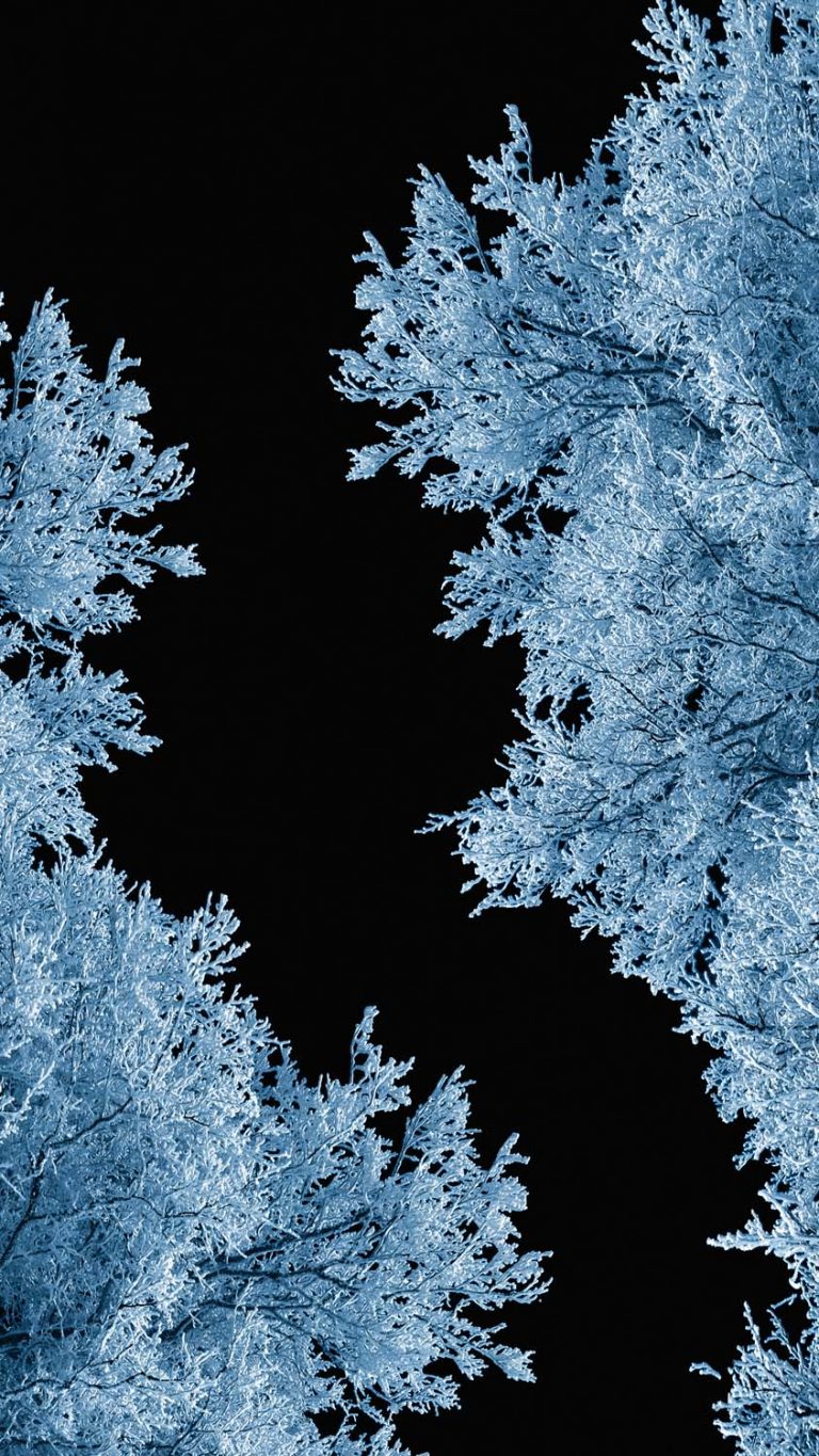 Night Snow Trees iPhone Wallpaper HD iPhone Wallpapers