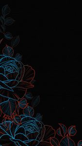 OLED Flowers iPhone Wallpaper HD