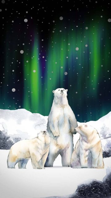 Polar Bears iPhone Wallpaper HD