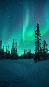 Snow Fall Northern Lights iPhone Wallpaper HD