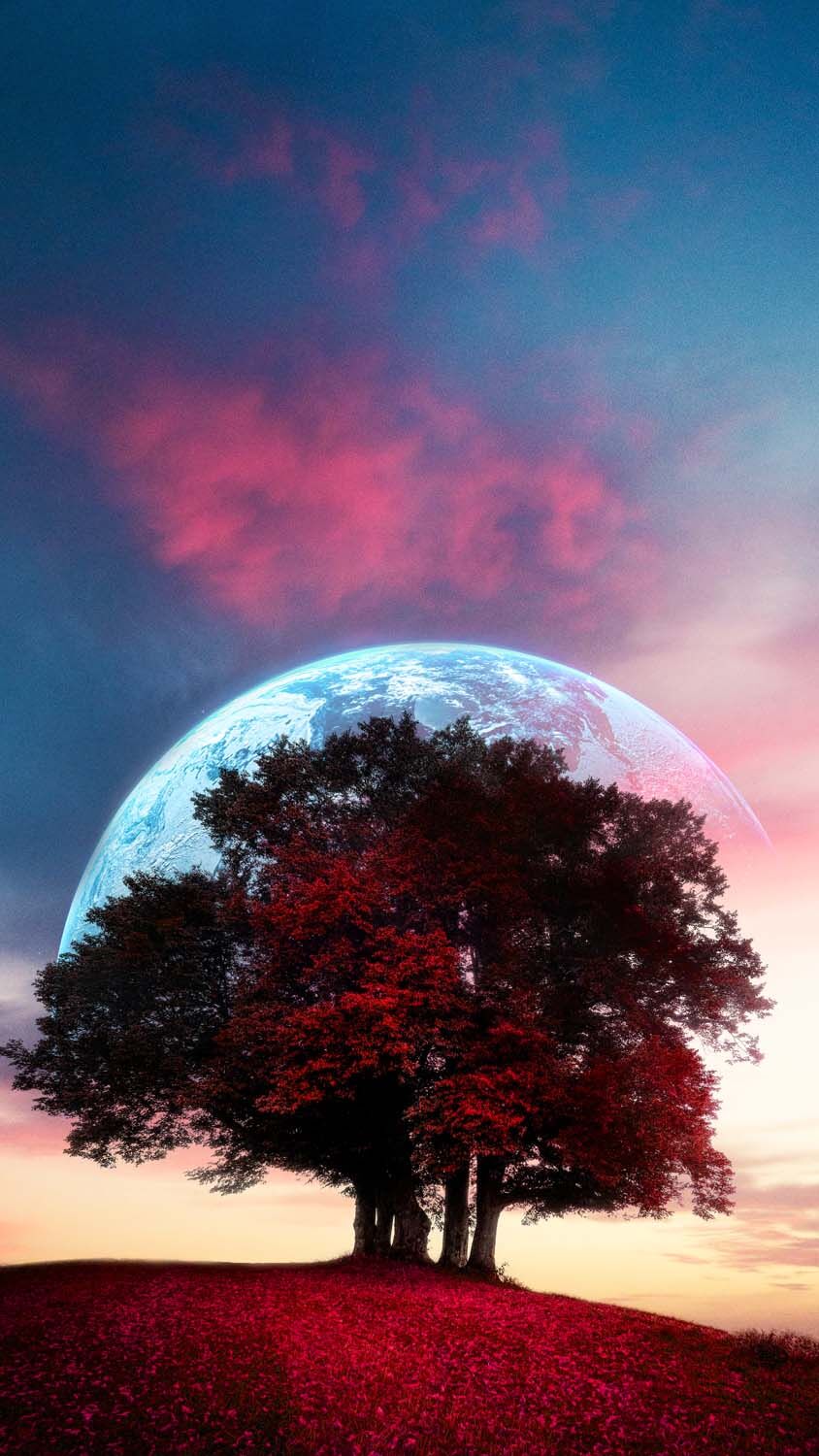 Space Autumn Tree iPhone Wallpaper HD