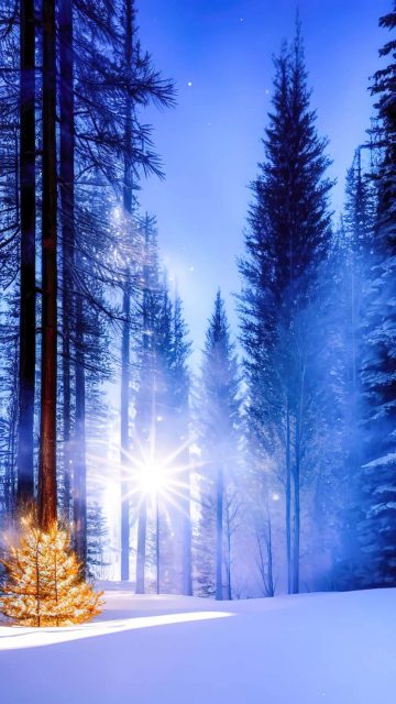 Winter Snow iPhone Wallpaper HD