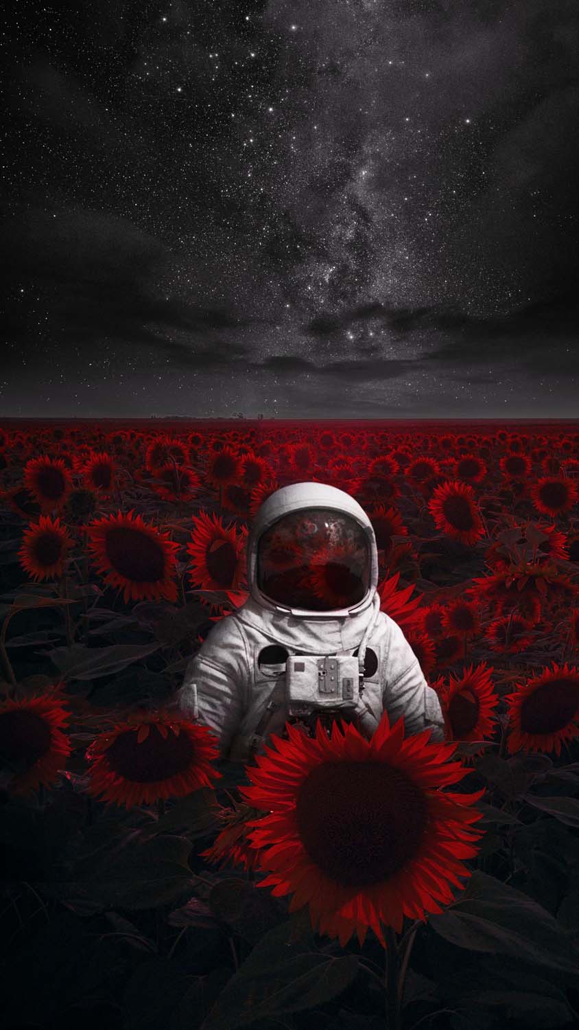 Astro in Flower Field iPhone Wallpaper HD