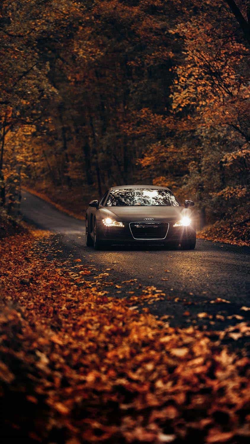 Audi R8 Autumn iPhone Wallpaper HD