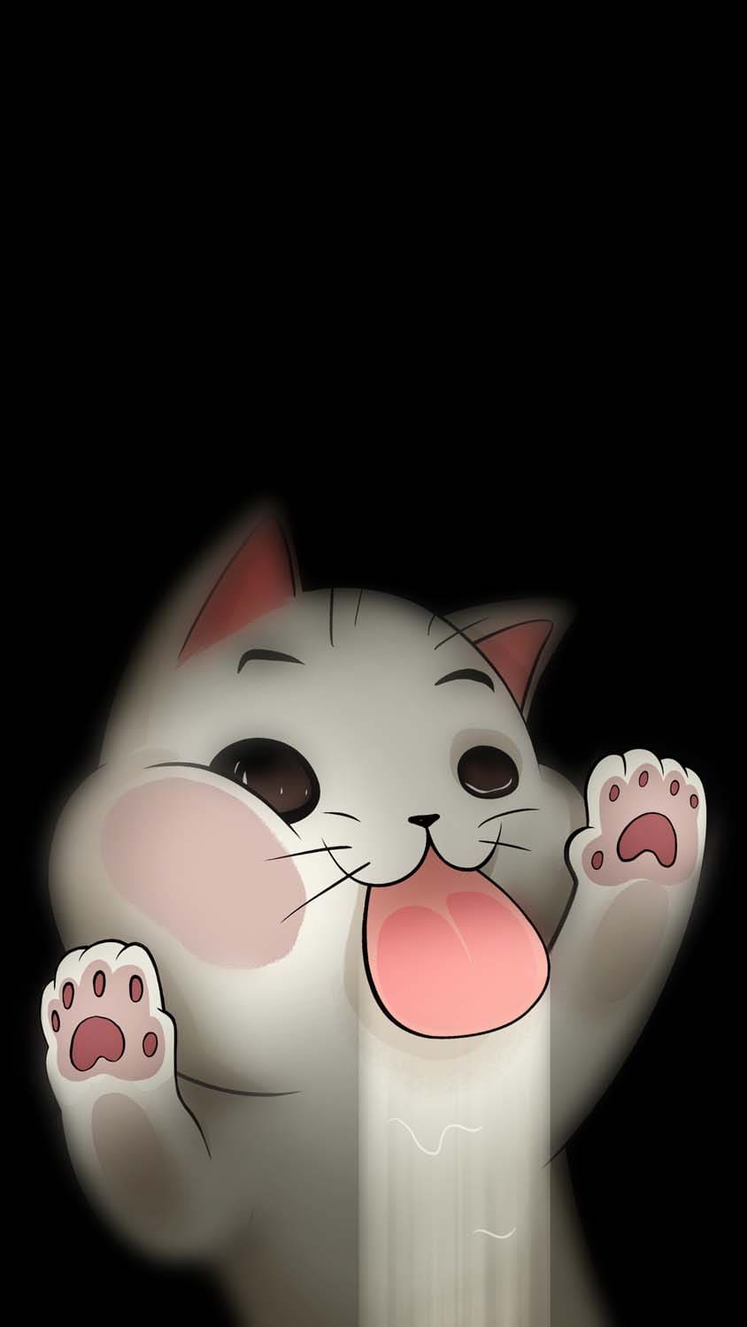 Cute Cat iPhone Wallpaper HD
