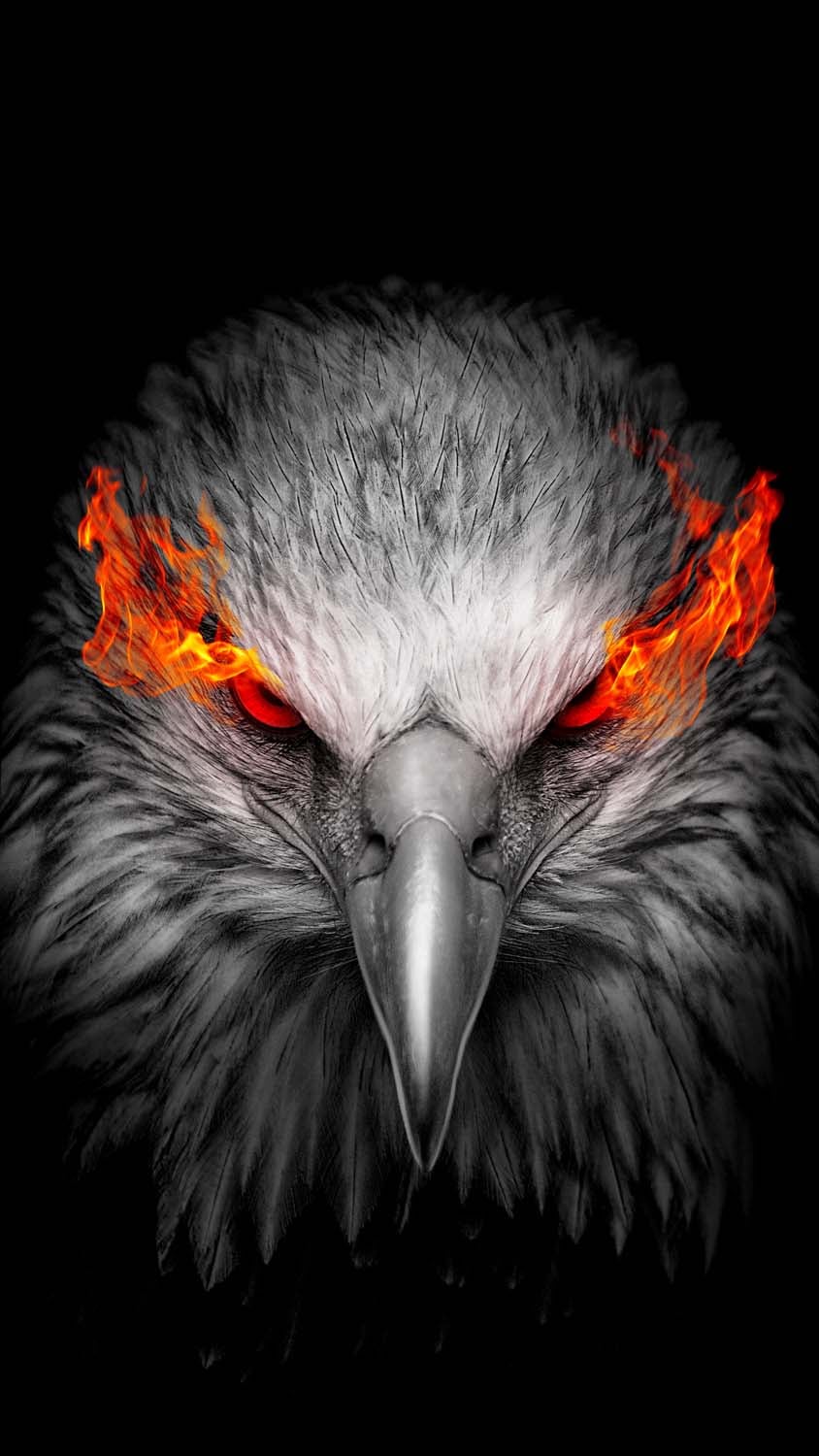 Eagle Fire Eyes iPhone Wallpaper HD