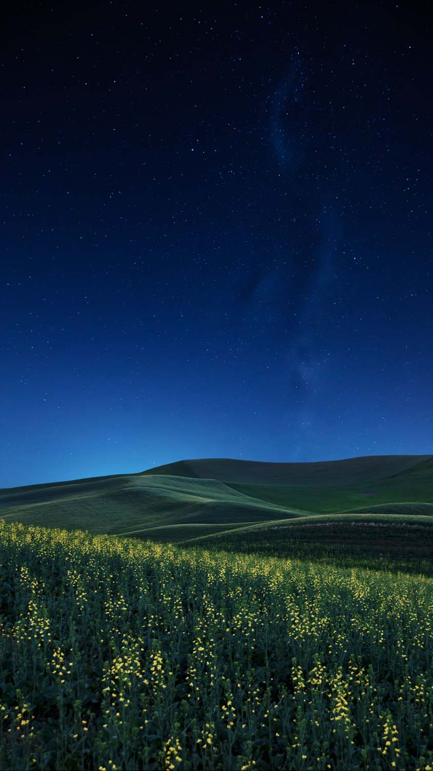 Green Fields and Night iPhone Wallpaper HD