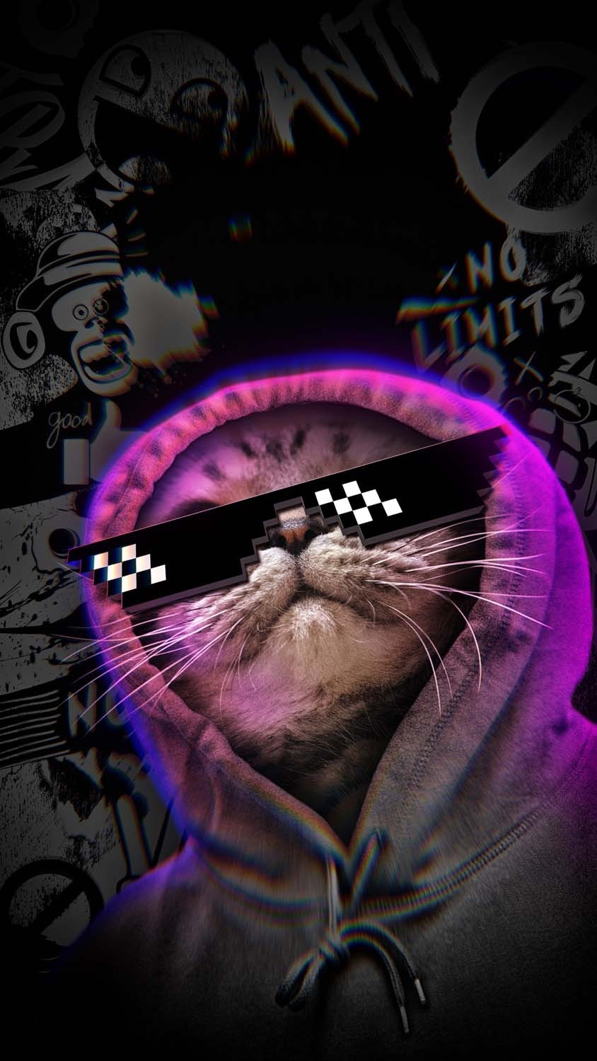 Hoodie Cat iPhone Wallpaper HD