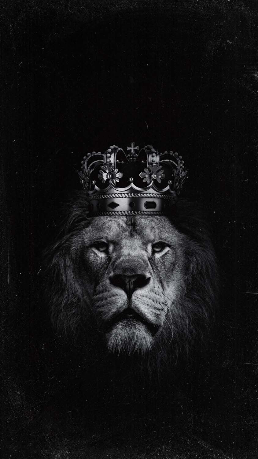 Lion Crown iPhone Wallpaper HD