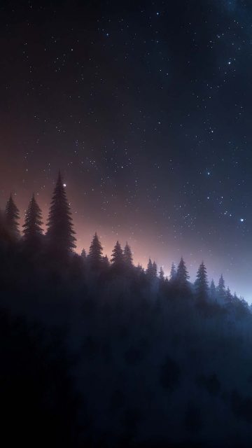 Night Sky and Trees iPhone Wallpaper HD