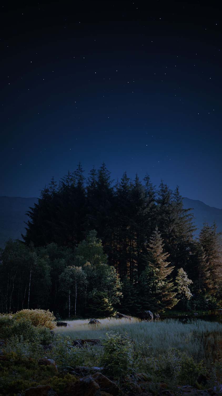 Night Trees iPhone Wallpaper HD