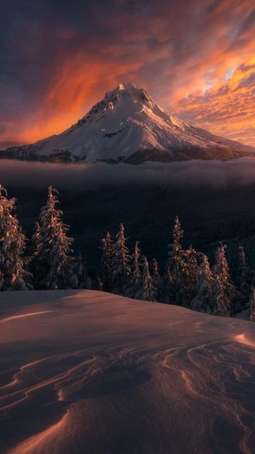 Oregon Snow Mountains USA iPhone Wallpaper HD