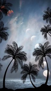 Palm Trees and Eclipse iPhone Wallpaper HD