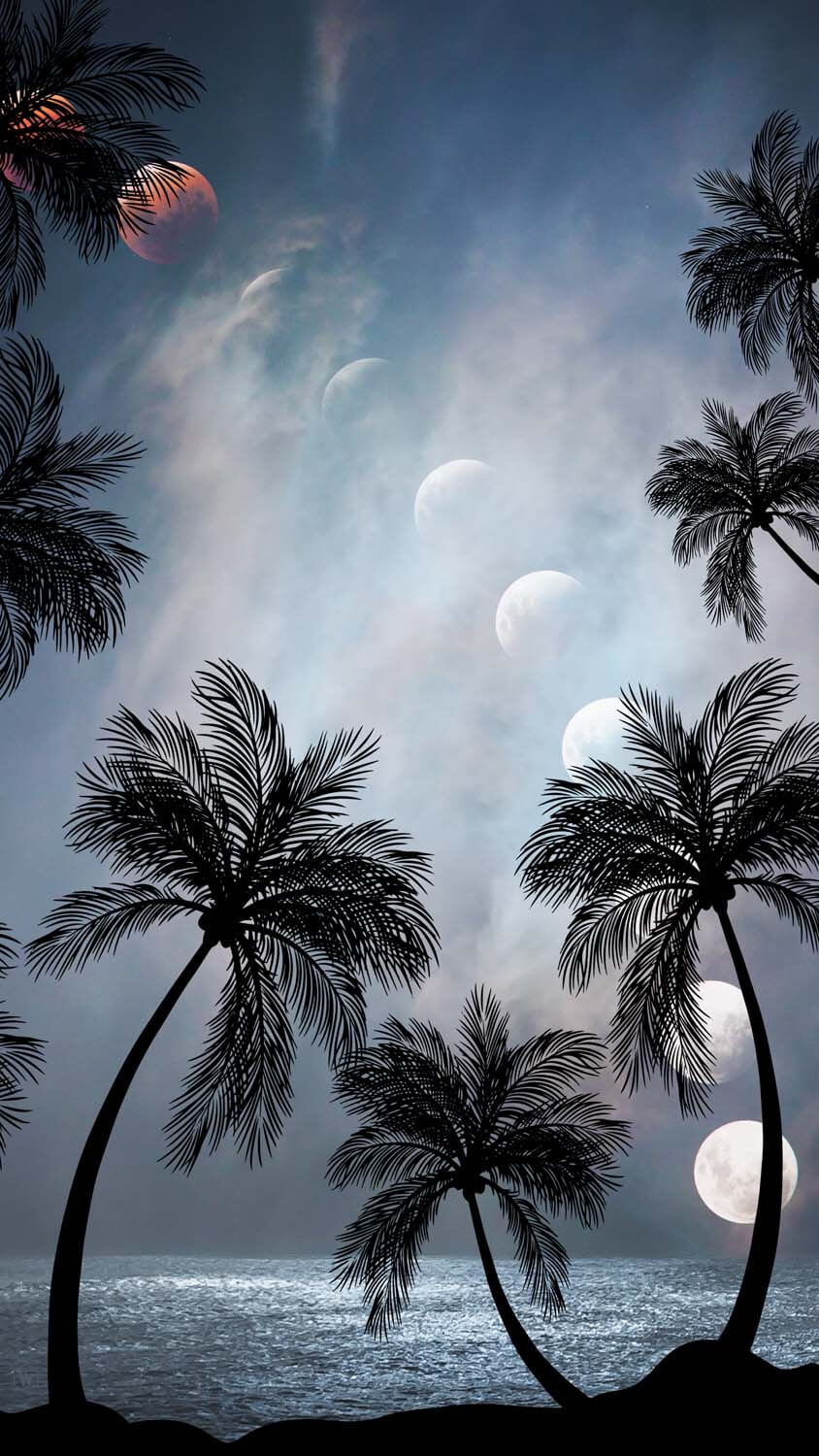 Palm Trees and Eclipse iPhone Wallpaper HD