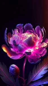 Pink high contrast iPhone wallpaper