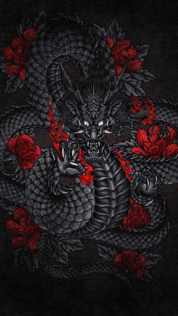 Black Dragon iPhone Wallpaper HD